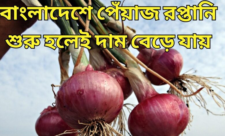 Onion Bounce বাংলাদেশে পেঁয়াজ রপ্তানি শুরু হলেই দাম বেড়ে যায়