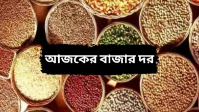 TODAY MANDI RATE